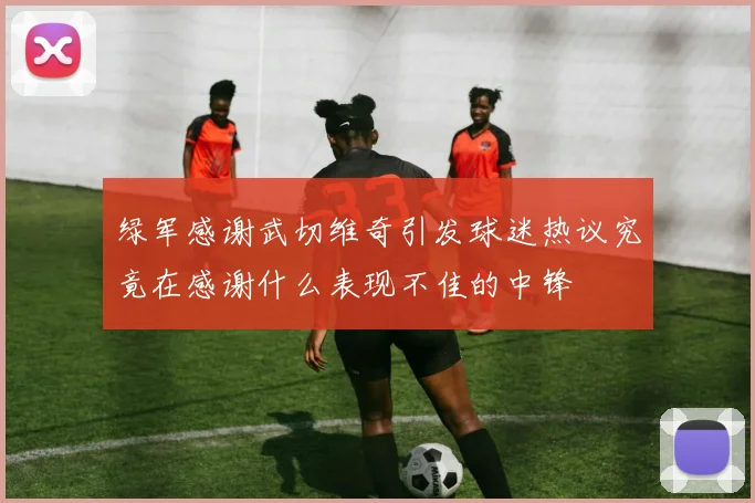绿军感谢武切维奇引发球迷热议究竟在感谢什么表现不佳的中锋